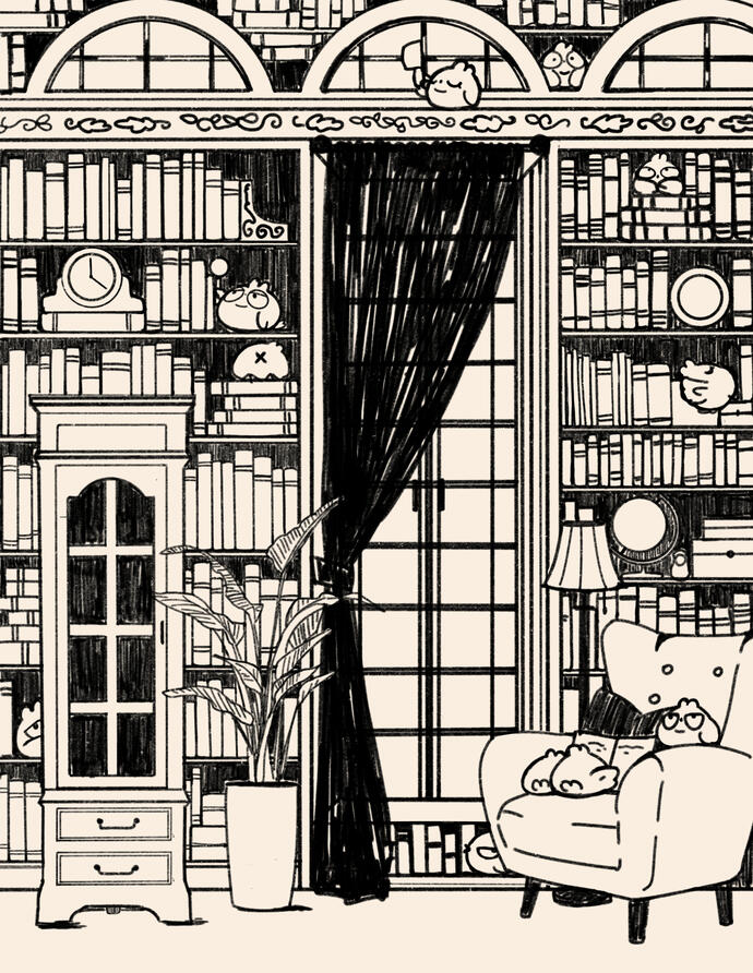 [Original: Bird Library]